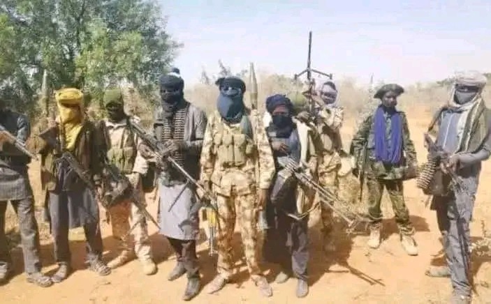 REPORT: Chadian Military Forced Boko-Haram Out Of Camps, Left Thousands Of Livestock