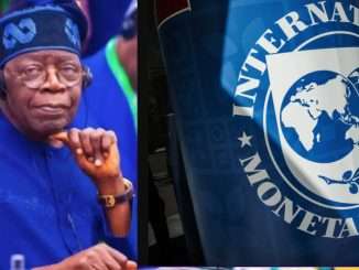 IMF Advises Tinubu To Change His Reform Strategies