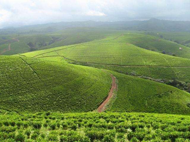 Mambila Plateau of Taraba State