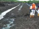 Ogoni cleanup