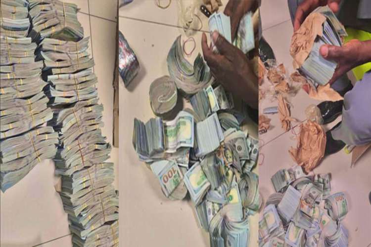 Customs Dollars Kano 1