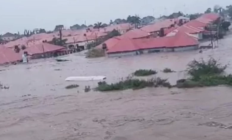 1001537236 9News Nigeria