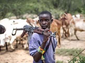 Armed Fulani Herdsmen