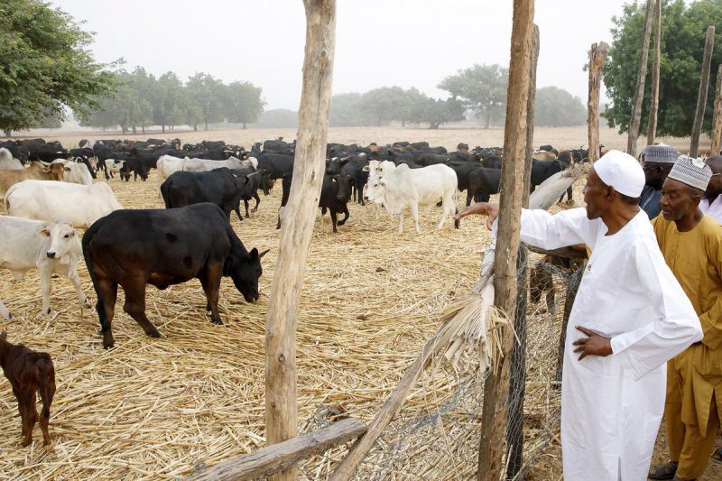 1001910027 9News Nigeria