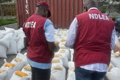 NDLEA 1 1