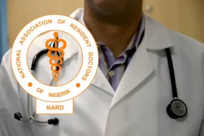 Doctors