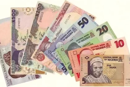 Naira Notes