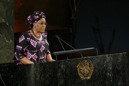 joy ogwu united nations 1